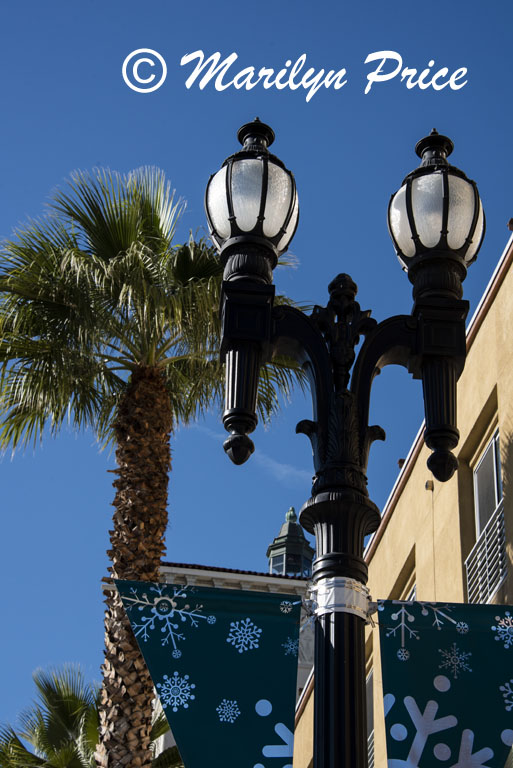 Lamppost and palm tree, Pasadena, CA