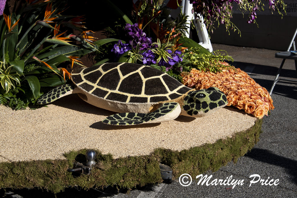 Details of the Sierra Madre float (Ka la hiki ola - The Dawning of a New Day), Showcase of Floats, Pasadena, CA