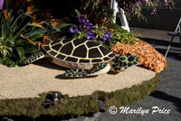 Details of the Sierra Madre float (Ka la hiki ola - The Dawning of a New Day), Showcase of Floats, Pasadena, CA