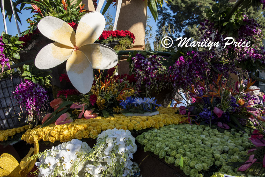 Details of the Sierra Madre float (Ka la hiki ola - The Dawning of a New Day), Showcase of Floats, Pasadena, CA