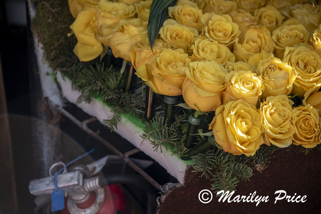 Details of the Sierra Madre float (Ka la hiki ola - The Dawning of a New Day), Showcase of Floats, Pasadena, CA