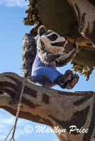 Details of the Wescom float (Better Together: Hope Creates Community), Showcase of Floats, Pasadena, CA