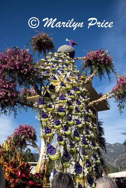 Details of the Donate Life float (Light in the Darkness), Showcase of Floats, Pasadena, CA
