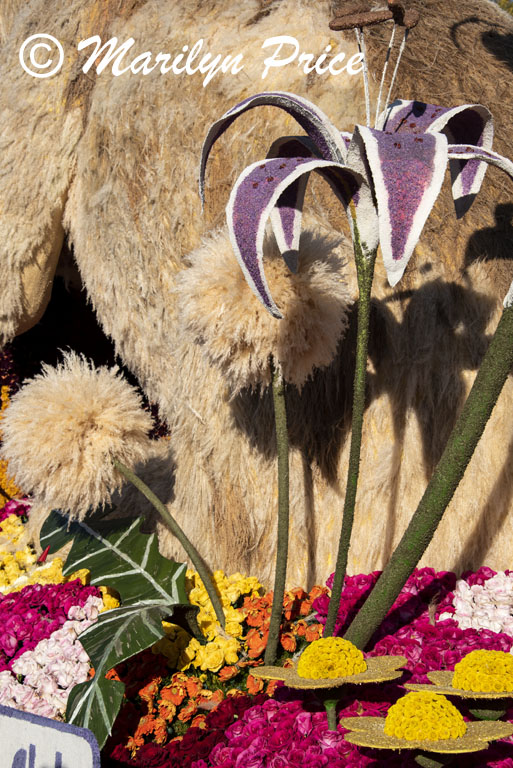 Details of Lions Club float (Hope for 2020), Showcase of Floats, Pasadena, CA