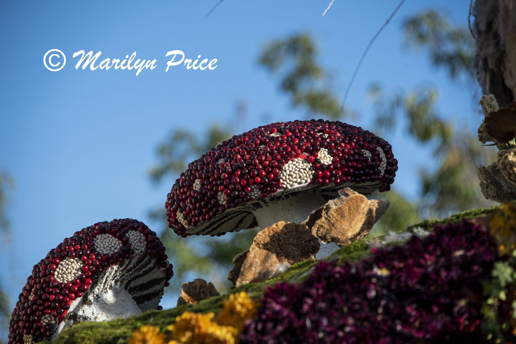 Details of Lions Club float (Hope for 2020), Showcase of Floats, Pasadena, CA