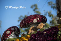 Details of Lions Club float (Hope for 2020), Showcase of Floats, Pasadena, CA