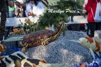 Details of the City of Torrance float (Our Garden of Hope and Dreams), Showcase of Floats, Pasadena, CA