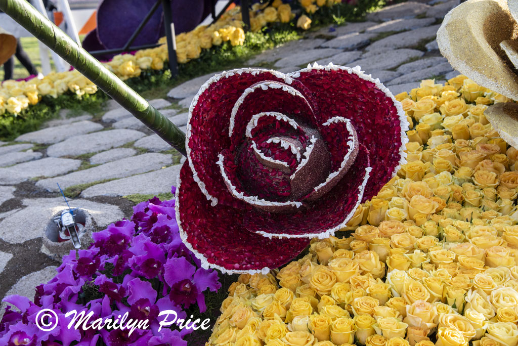 Details of Mrs. Meyer's Clean Day float (Plant a Garden - Believe in Tomorrow), Showcase of Floats, Pasadena, CA