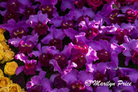 Details of Mrs. Meyer's Clean Day float (Plant a Garden - Believe in Tomorrow), Showcase of Floats, Pasadena, CA