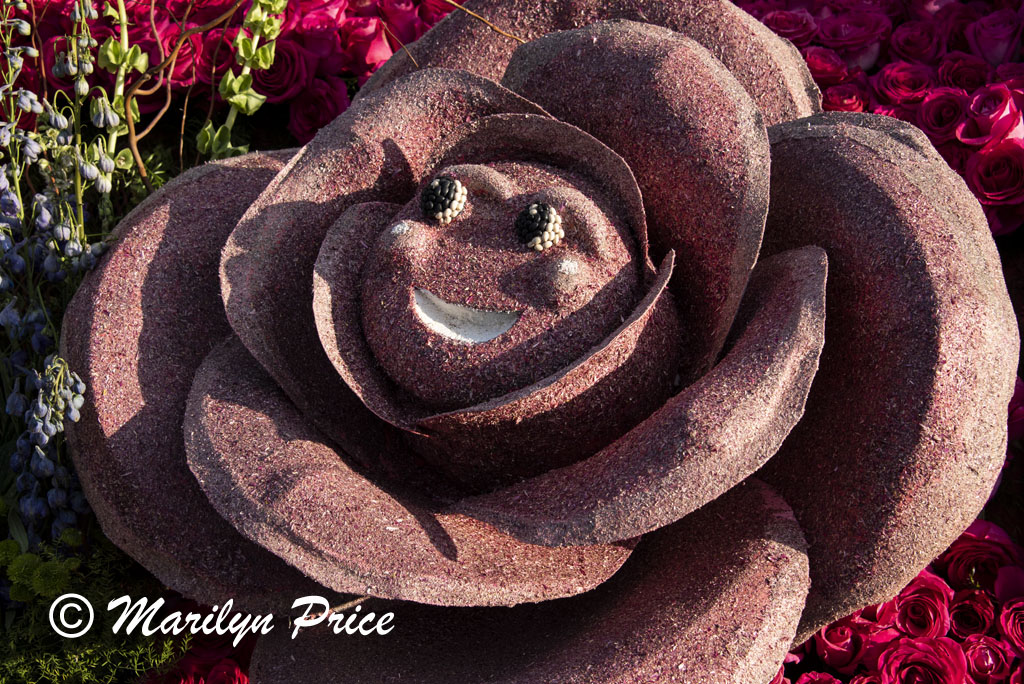 Details of Mrs. Meyer's Clean Day float (Plant a Garden - Believe in Tomorrow), Showcase of Floats, Pasadena, CA