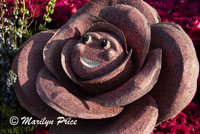 Details of Mrs. Meyer's Clean Day float (Plant a Garden - Believe in Tomorrow), Showcase of Floats, Pasadena, CA