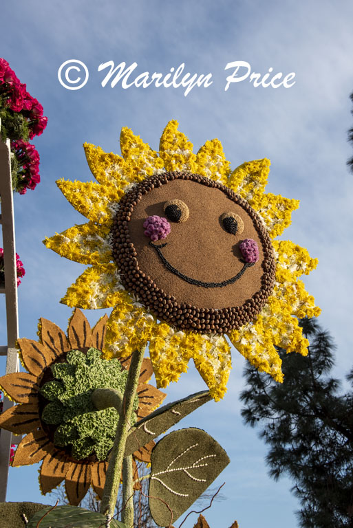 Details of Mrs. Meyer's Clean Day float (Plant a Garden - Believe in Tomorrow), Showcase of Floats, Pasadena, CA