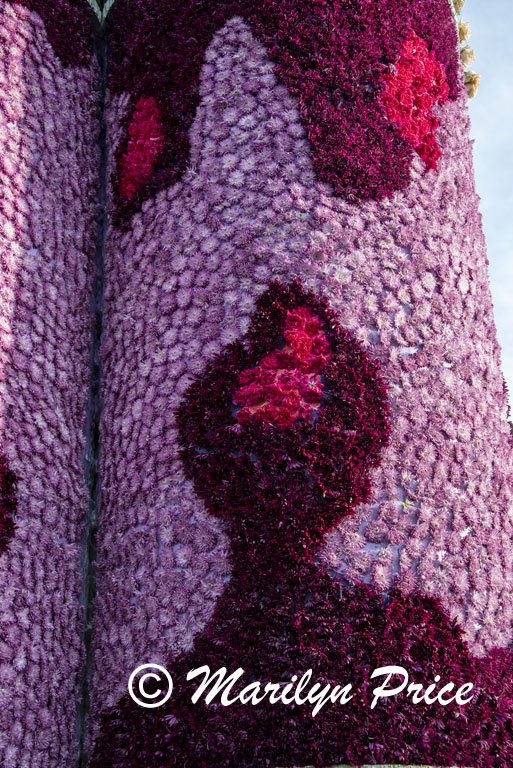 Details of Farmer's Insurance float, Showcase of Floats, Pasadena, CA