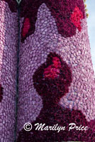 Details of Farmer's Insurance float, Showcase of Floats, Pasadena, CA