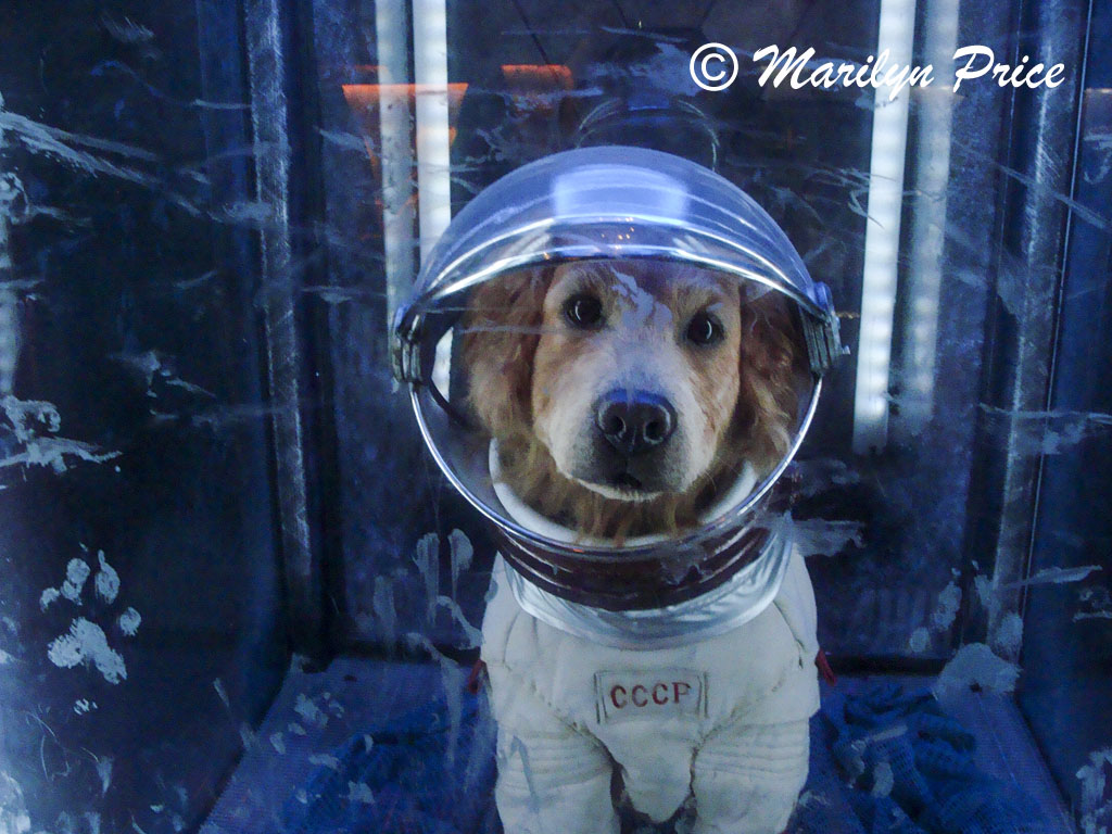 'Exhibit', Guardians of the Galaxy ride, Hollywood Land, Disney California Adventure Park, Anaheim, CA