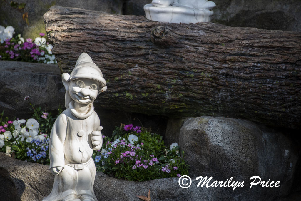 Dopey, Snow White's Grotto, Disneyland Park, Anaheim, CA