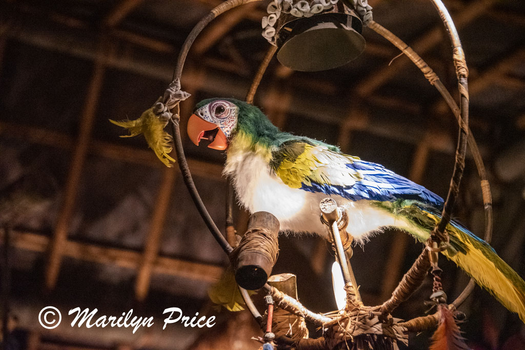 Enchanted Tiki Room, Adventureland, Disneyland Park, Anaheim, CA