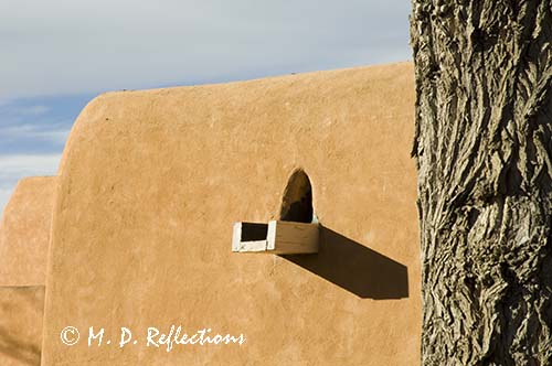 Adobe wall with downspout and cottonwood tree