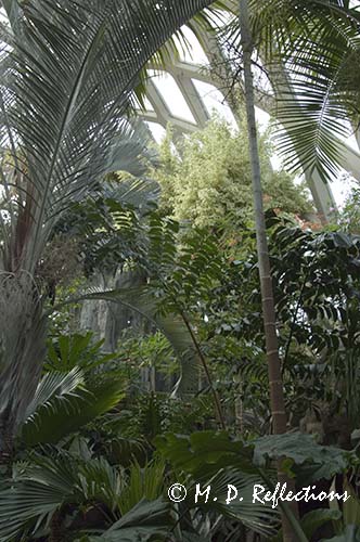 Conservatory, Denver Botanical Gardens, Denver, CO