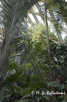 Conservatory, Denver Botanical Gardens, Denver, CO