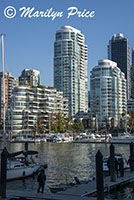 Downtown buildings from Granville Island, Vancouver, BC, Canada