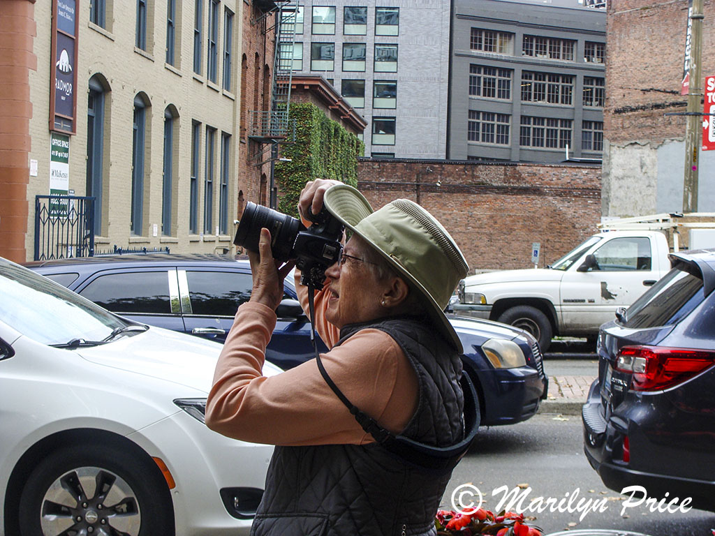 Marilyn in action, Seattle, WA