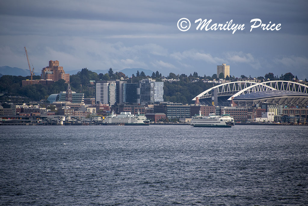 Skyline from heliport deck as we leave port, Seattle, WA