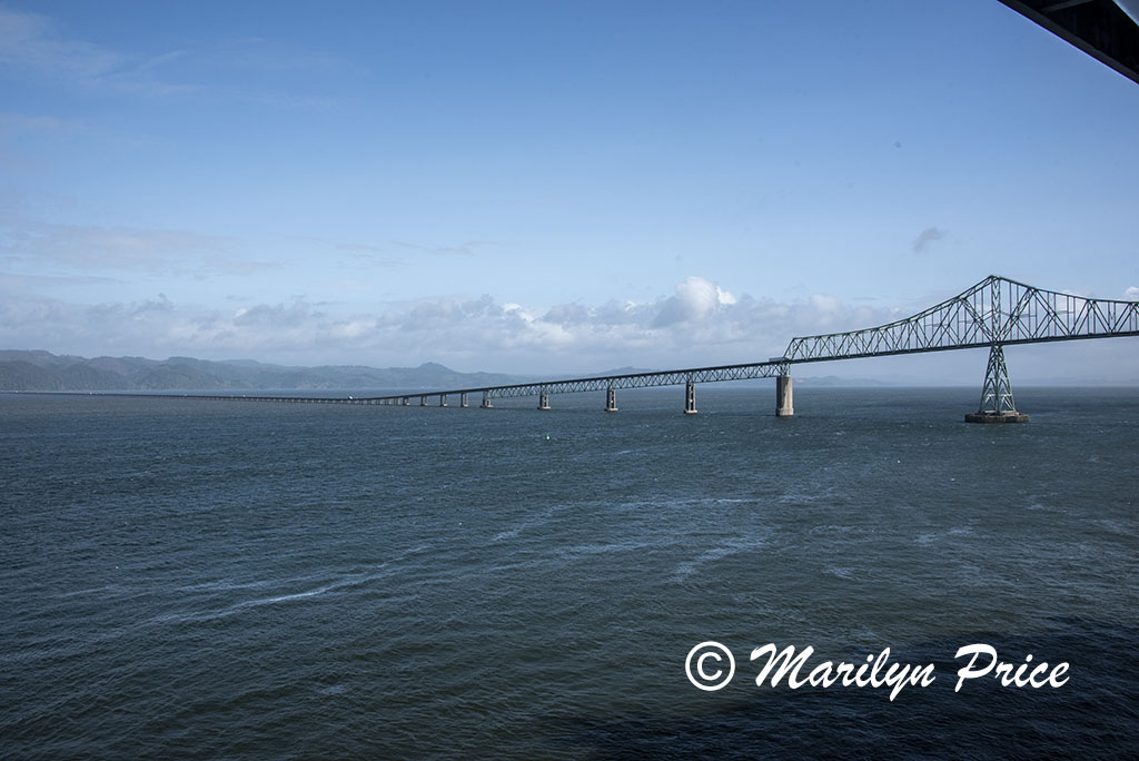 Astoria Bridge, Astoria, OR