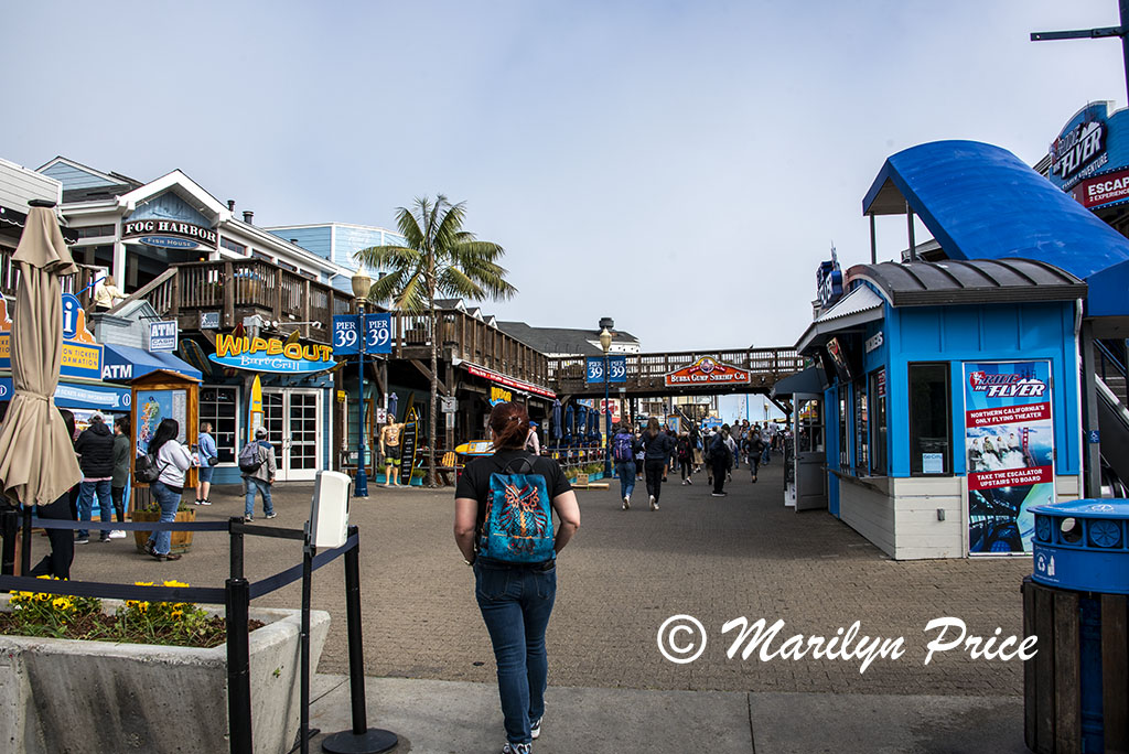 Kelly enters Pier 39, San Francisco, CA
