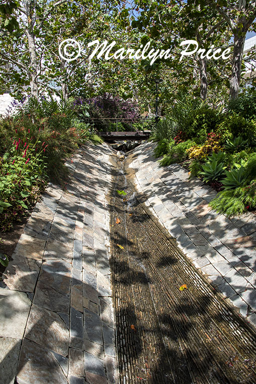 Succulents, Getty Museum, Los Angeles, CA