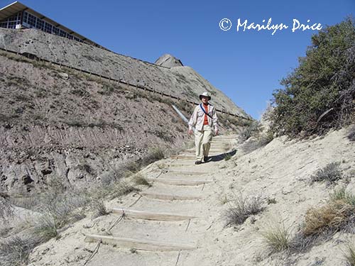 Marilyn on the Fossil Trail, Dinosaur National Monument, CO