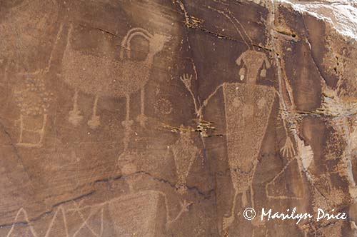 Petroglyphs, Dinosaur National Monument, CO