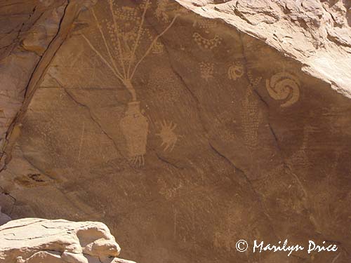 Petroglyphs, Dinosaur National Monument, CO