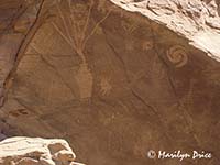 Petroglyphs, Dinosaur National Monument, CO