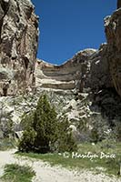 Box Canyon near Josie's cabin, Dinosaur National Monument, CO