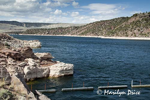 Flaming Gorge Reservoir, above the dam, Flaming Gorge, UT