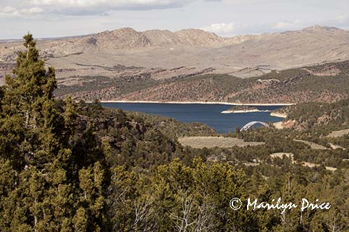 Flaming Gorge Reservoir, Flaming Gorge, UT