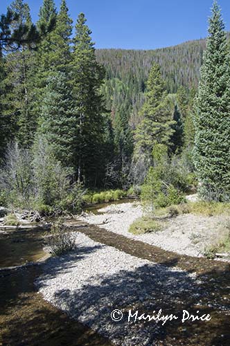 Colorado River near its source, Colorado River Trail, Rocky Mountain National Park, CO