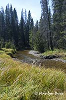 Colorado River near its source, Colorado River Trail, Rocky Mountain National Park, CO