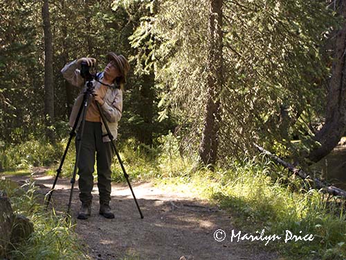 Marilyn sets up a shot, Colorado River Trail, Rocky Mountain National Park, CO