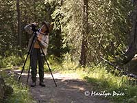 Marilyn sets up a shot, Colorado River Trail, Rocky Mountain National Park, CO