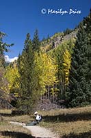 Carl and aspen trees, Colorado River Trail, Rocky Mountain National Park, CO