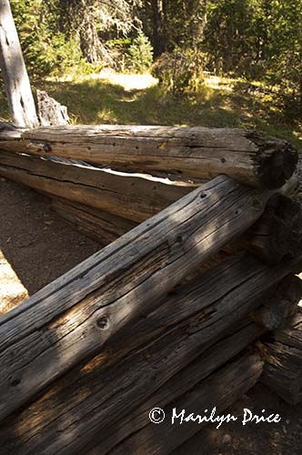 Part of a wall still standing, Shipler cabin, Colorado River Trail, Rocky Mountain National Park, CO