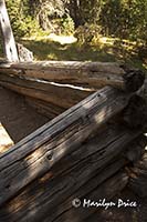 Part of a wall still standing, Shipler cabin, Colorado River Trail, Rocky Mountain National Park, CO