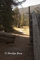 View from what remains of the Shipler cabin, Colorado River Trail, Rocky Mountain National Park, CO
