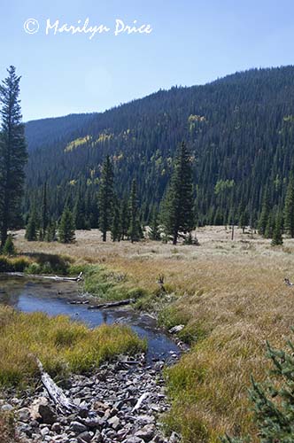Colorado River near its source, Colorado River Trail, Rocky Mountain National Park, CO