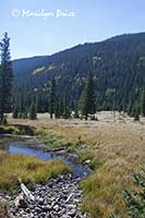Colorado River near its source, Colorado River Trail, Rocky Mountain National Park, CO