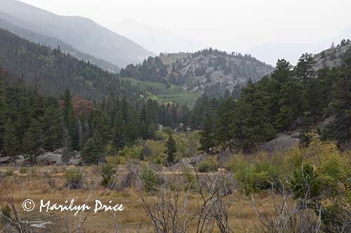 Looking up the valley towards Cub Lake, Cub Lake Trail, Rocky Mountain National Park, CO