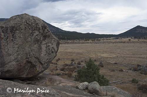 Moraine Park, Cub Lake Trail, Rocky Mountain National Park, CO