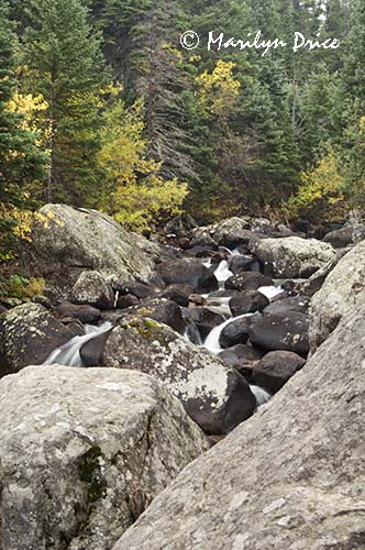 St. Vrain Creek, Ouzel Falls Trail, Rocky Mountain National Park, CO